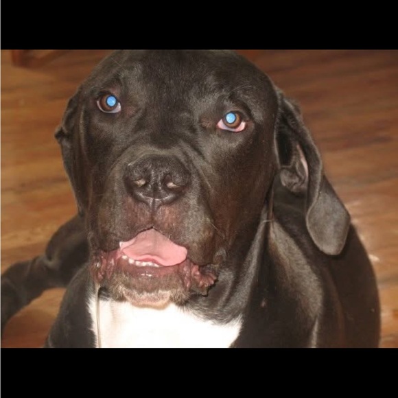 Meet your Posher, Amanda. - Picture 4 of 8